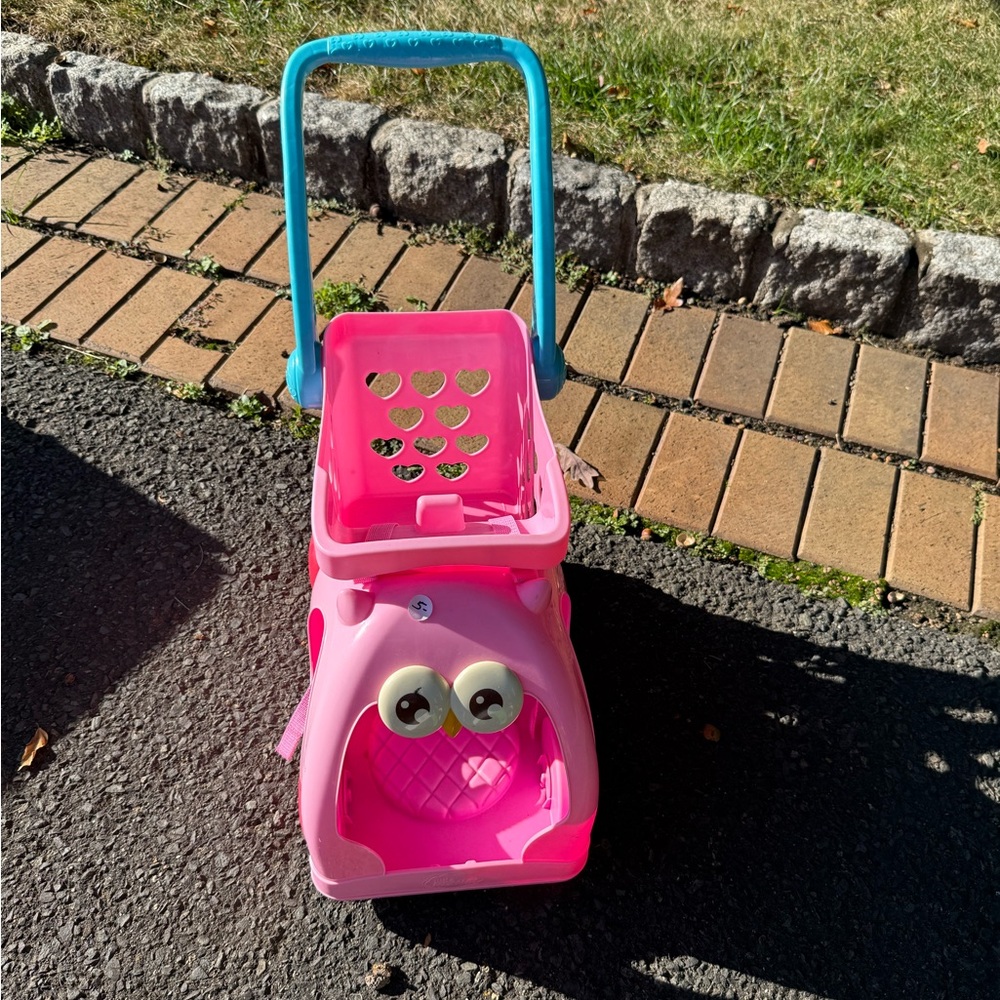Pink and Blue Kids Shopping Cart Toy